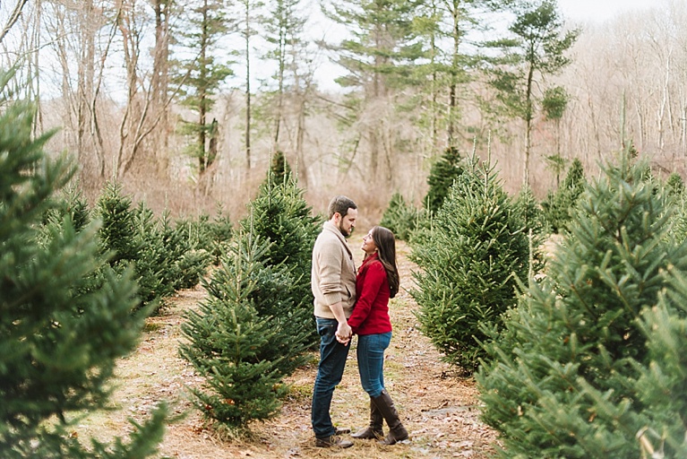 28 best christmas tree farm boston dog friendly new 28 best christmas tree farm boston dog friendly new