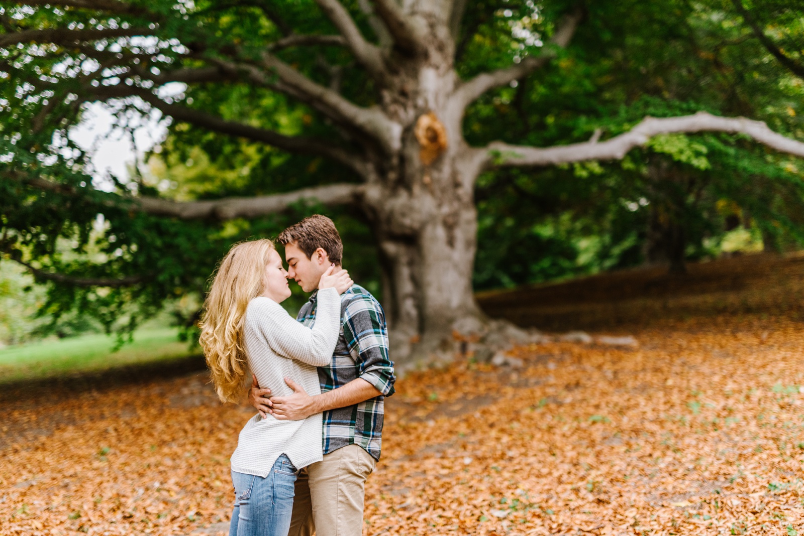 Arnold Arboretum At Harvard Engagement Session Annmarie Swift Photography