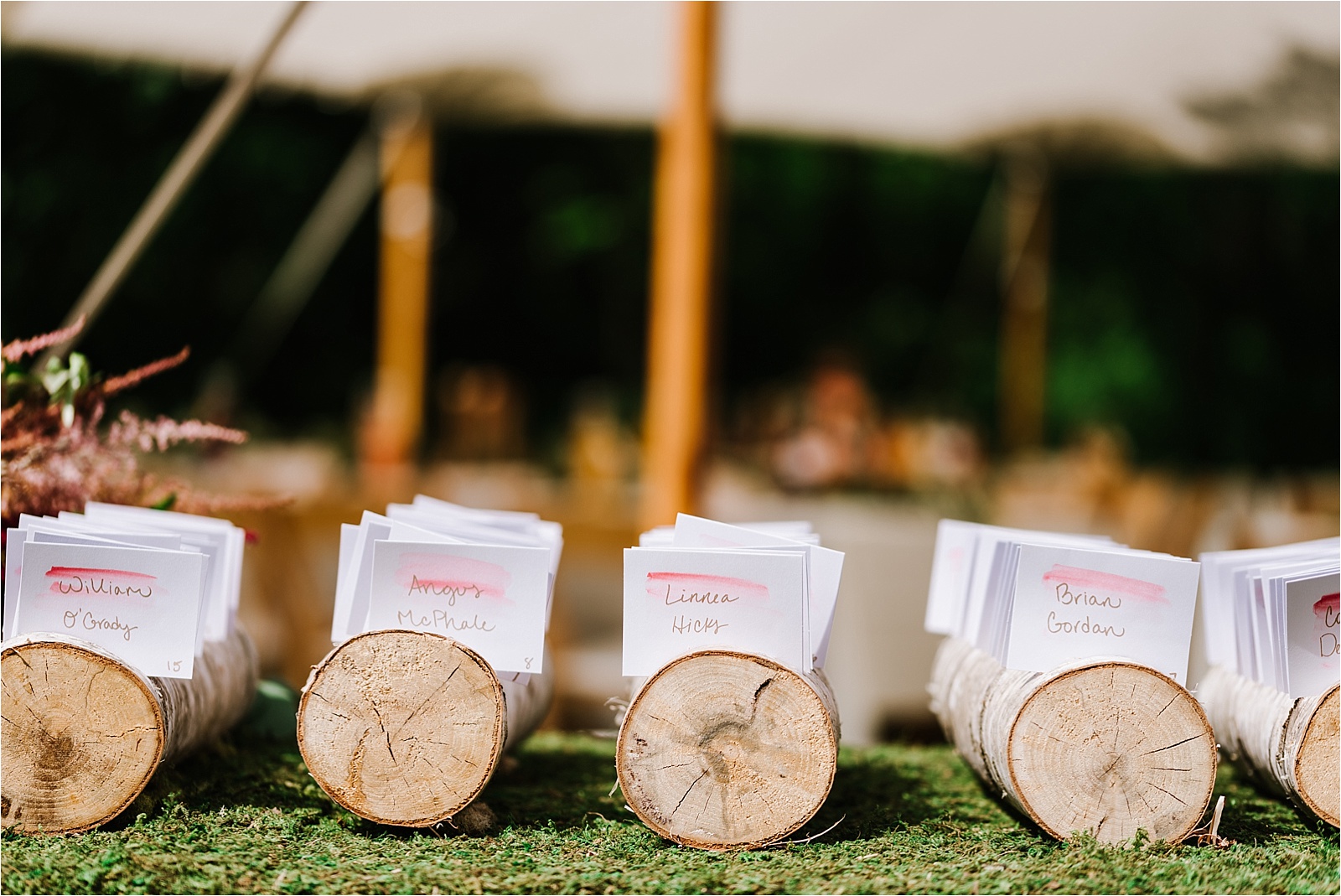 New Hampshire Audubon Society Wedding Annmarie Swift Boston & New