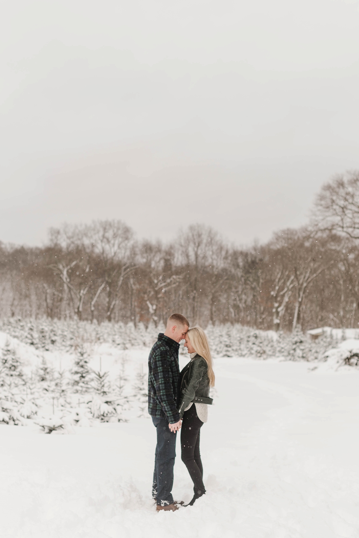 This tree farm engagement session at Holiday Tree Farm in Topsfield, Massachusetts by Boston Wedding Photographer Annmarie Swift